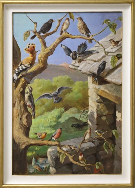 Italo Cenni — Uccellini